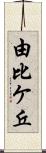 由比ケ丘 Scroll