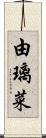 由璃菜 Scroll