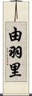 由羽里 Scroll