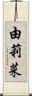 由莉菜 Scroll