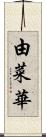 由菜華 Scroll