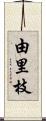 由里枝 Scroll