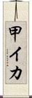 甲イカ Scroll