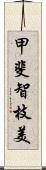 甲斐智枝美 Scroll