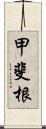 甲斐根 Scroll