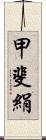 甲斐絹 Scroll