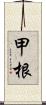 甲根 Scroll