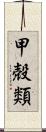 甲殻類 Scroll