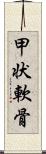 甲状軟骨 Scroll