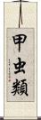 甲虫類 Scroll