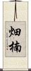 畑楠 Scroll