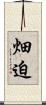 畑迫 Scroll