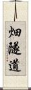 畑隧道 Scroll