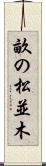 畝の松並木 Scroll