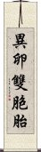 異卵雙胞胎 Scroll