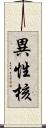異性核 Scroll
