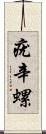 疣辛螺 Scroll