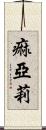 痲亞莉 Scroll