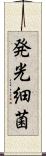 発光細菌 Scroll