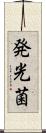 発光菌 Scroll