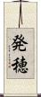 発穂 Scroll