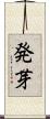 発芽 Scroll