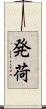 発荷 Scroll