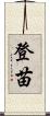 登苗 Scroll