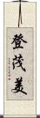 登茂美 Scroll