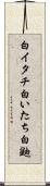 白イタチ Scroll