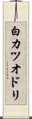 白カツオドリ Scroll