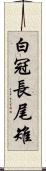 白冠長尾雉 Scroll