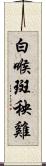 白喉斑秧雞 Scroll