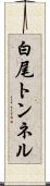 白尾トンネル Scroll