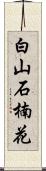 白山石楠花 Scroll