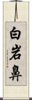 白岩鼻 Scroll