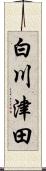 白川津田 Scroll