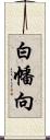 白幡向 Scroll