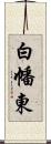 白幡東 Scroll