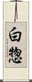白惣 Scroll