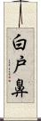 白戸鼻 Scroll