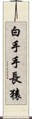 白手手長猿 Scroll
