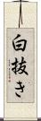 白抜き Scroll