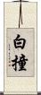 白撞 Scroll