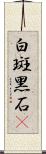 白斑黑石䳭 Scroll