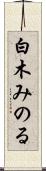 白木みのる Scroll