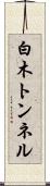 白木トンネル Scroll