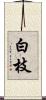 白枝 Scroll