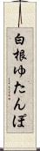 白根ゆたんぽ Scroll