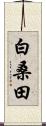 白桑田 Scroll